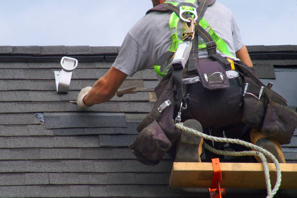 Best Shingle Roofing Installation  in Saxapahaw, NC