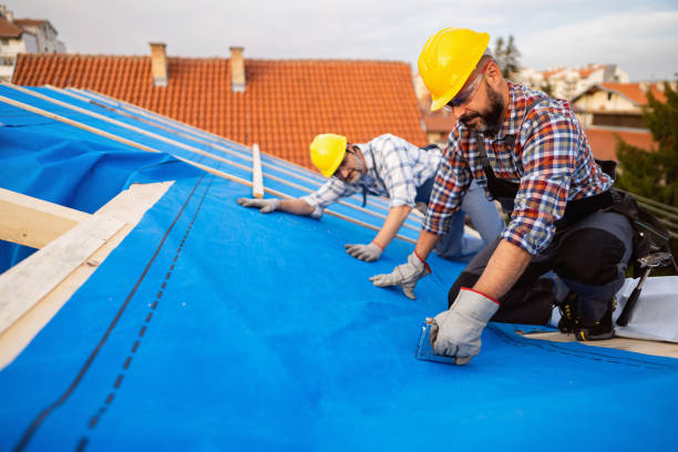 Best Roof Waterproofing Services  in Saxapahaw, NC