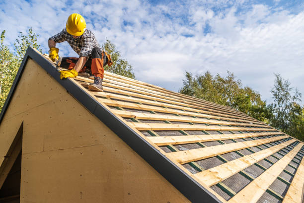 Best Roof Restoration Services  in Saxapahaw, NC