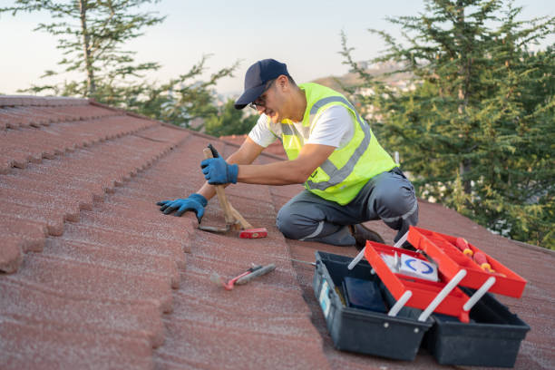 Best New Roof Installation  in Saxapahaw, NC