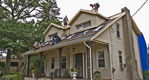 Best Local Roofing Companies  in Saxapahaw, NC