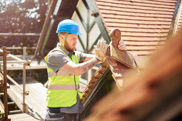 Best Roof Gutter Cleaning  in Saxapahaw, NC